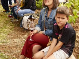 Festival Mar de Tethys 2026 - Bodega Vetas